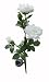 Solar White Rose Flower Lights , Solar Powered Gar