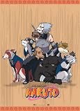 Naruto Kakashi Dogs Cloth Wall Scroll Poster GE-9701