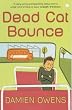 Dead Cat Bounce