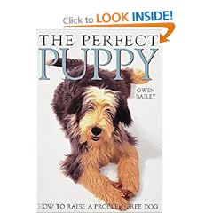 The Perfect Puppy