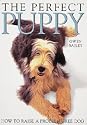 The Perfect Puppy