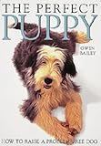 The perfect puppy