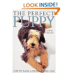 The Perfect Puppy