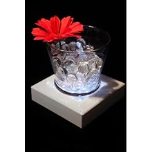 Fortune Products LB-5W Square Light Base with White LED's, 5" Length x 5" Width x 1-1/4" Height