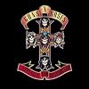 Appetite for Destruction