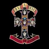 Appetite for Destruction