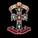 Guns N Roses & Velvet Revolver���Đ���