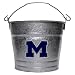 Bergamot IBC302FPE Ice Bucket 1-gal.