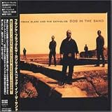 Dog in the Sand