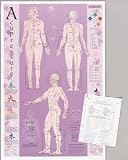 Acupressure Point Reference