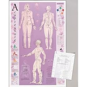 Anatomical Points and Meridians of Acupuncture Chart