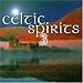 Various, Celtic spirits 3