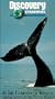 In the Company of Whales [VHS]
