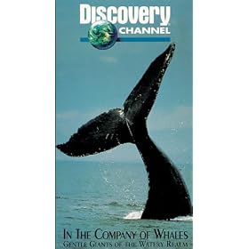 In the Company of Whales [VHS]