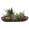 Mix Of Agave, Succulents, Grass and Eceveria In Oblong Bowl