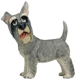 Pets With Personality - Colin The Schnauzer