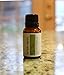 Tea Tree Essential Oil by Simply Earth - 15 ml