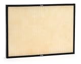 Rabbit Air BioGS HEPA filter w/ Flu Prevention for (models SPA-421A & SPA-582A)