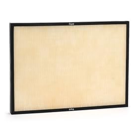 Rabbit Air BioGS HEPA filter w/ Flu Prevention for (models SPA-421A & SPA-582A)