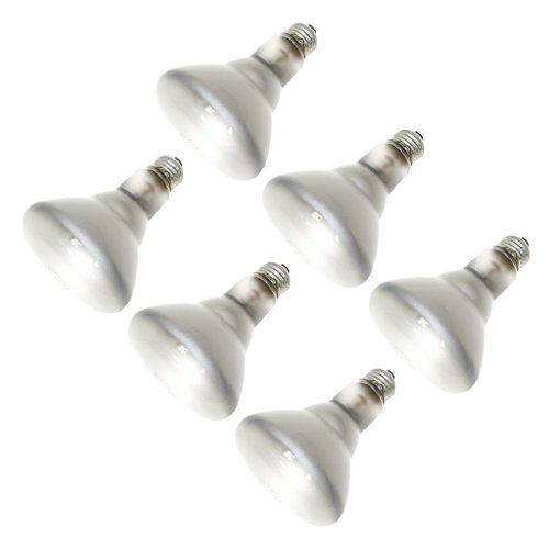 (24 Pack) Sylvania Lighting BR30 65w 120-volt Indoor Flood Bulb