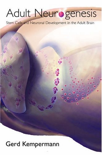 Adult Neurogenesis: Stem Cells and Neuronal Development in the Adult Brain