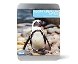 Gift Republic , Adopt A Penguin Gift Box