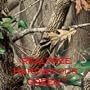 CAMOUFLAGE Dash Cover in REALTREE HD GREEN . Fits 1999 new body-2006 Chevy Pickups and Silverado P/U, also will fit Yukon/GMC Sierra P/U, Tahoe, Suburban in the same year spans