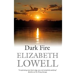 Dark Fire by Elizabeth Lowell