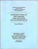 Introduction to the Theory and Practice of Econometrics: Learning Econometrics Using Gauss: A Computer Handbook