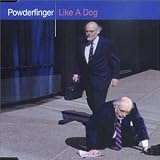 Like a Dog