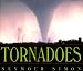 Tornadoes (Library Binding)