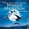Winged Migration
