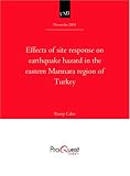 Search : Effects of site response on earthquake hazard in the eastern Marmara region of Turkey