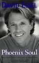 Phoenix Soul: One Man's Search for Love & Inner Peace