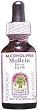 Nature's Answer Mullein Flower Oil (1 oz)