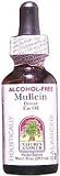 Nature's Answer Mullein Flower Oil (1 oz)