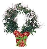 Jasmine Wreath Topiary Sympathy Plant - Mother's Day Flowers - Mother's Day Plant