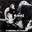 Os grãos
