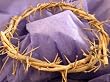 Crown of Thorns/ Authentic Crown of Thorns From the Holy Land