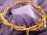 Crown of Thorns/ Authentic Crown of Thorns From the Holy Land