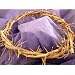 Crown of Thorns/ Authentic Crown of Thorns From the Holy Land