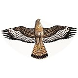 Eigenschaften Conrad Electronic GmbH 1123 / Mäusebussard Vogeldrachen