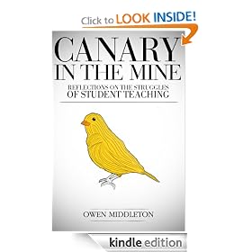Canary In The Mine: Reflections On The Struggles Of Student Teaching