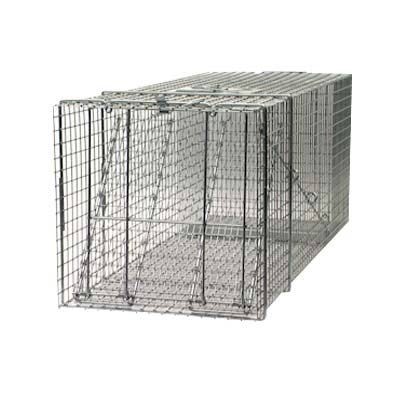 Kitchen: Havahart 1081 Professional Style One Door Cage Trap for Large Raccoons 42 x 15 x 15
