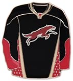 NHL Phoenix Coyotes 3rd Jersey Pin