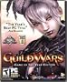 Guild Wars (Game of the Year Edition) (PC Games)