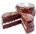 南房総びわ問屋 チョコレートケーキ 生チョコケーキ　ミニ　ザッハトルテ　１個