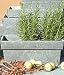 Zinc Window Box - Small (40cm)