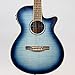Ibanez AEG20II Acoustic-Electric Guitar