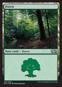 Magic: the Gathering - Forest (267/269) - Magic 2015 - Foil